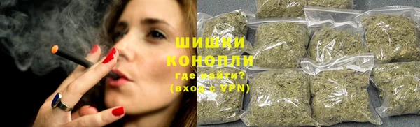 шишки Армянск