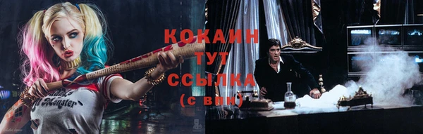 бошки Арсеньев