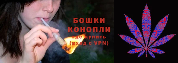 Альфа ПВП Аркадак