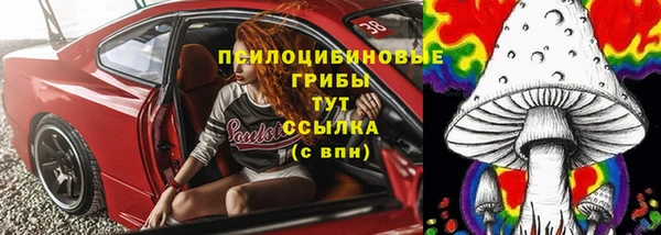 шишки Армянск