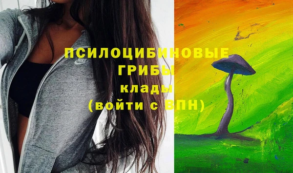spice Алзамай