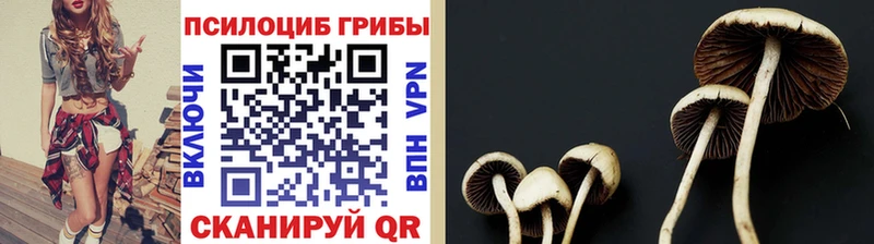 Псилоцибиновые грибы GOLDEN TEACHER закладки Ипатово